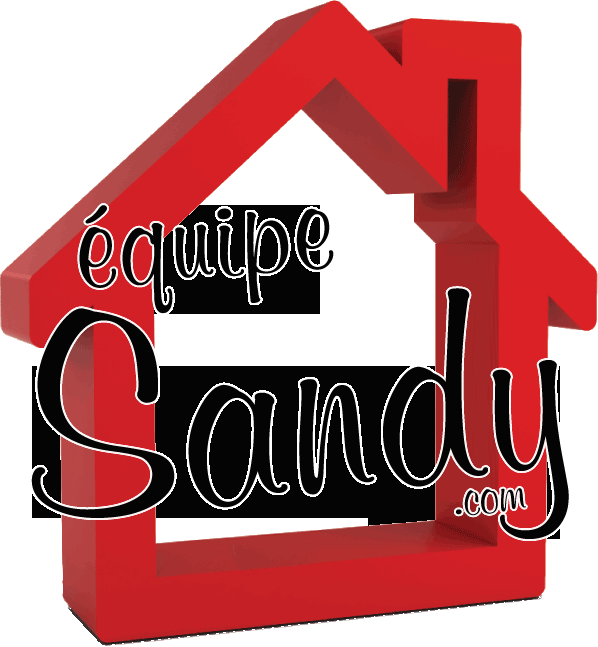 Equipe Sandy et associés Remax 2001 - Logo
