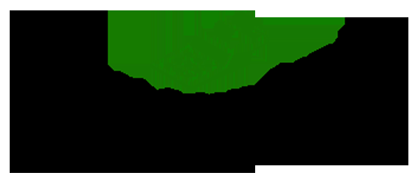 Ernest Henderson Tax Preparation Services - Logo