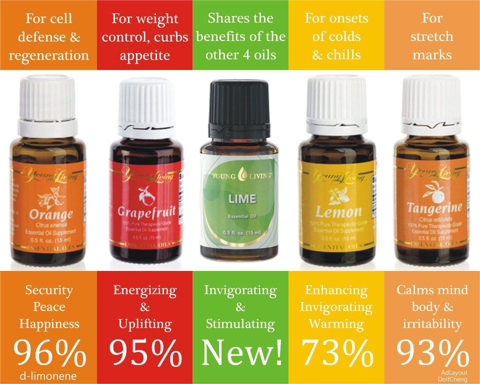 Essential Oil Connection - Edward Kersting - Cover photo