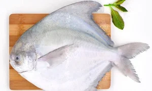Estuary Fresh Fish - Logo