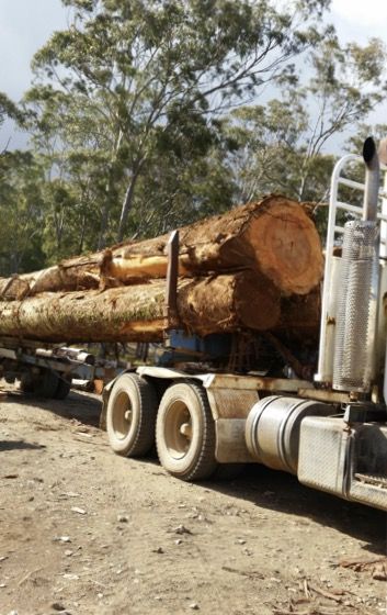 Eungella Sawmill - Cover photo