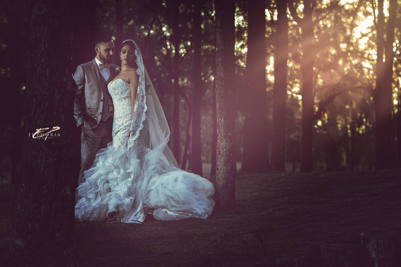 Euphoria Photography - Cover photo