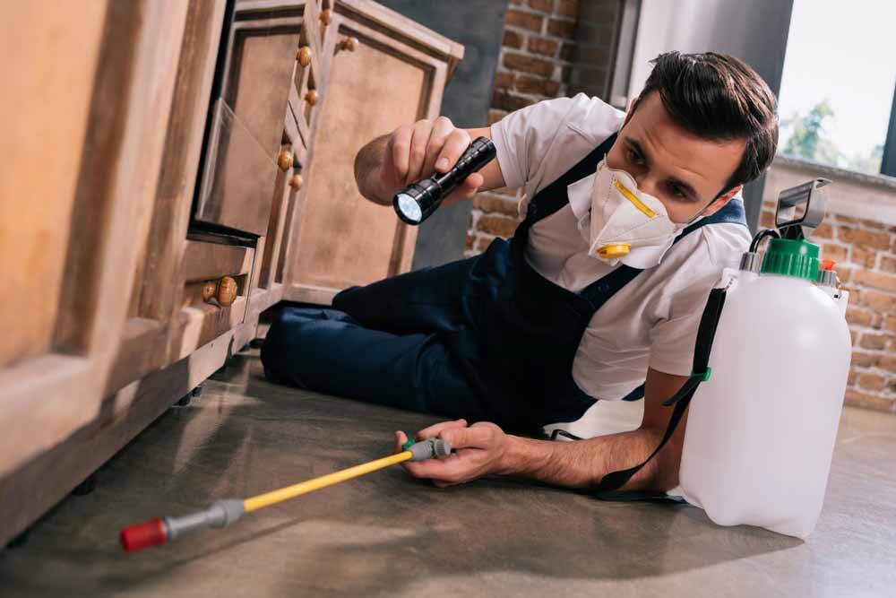 Eureka Carpet Cleaning & Pest Control Pty Ltd - Logo