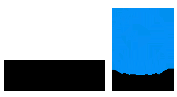 European Psychic Nina - Logo