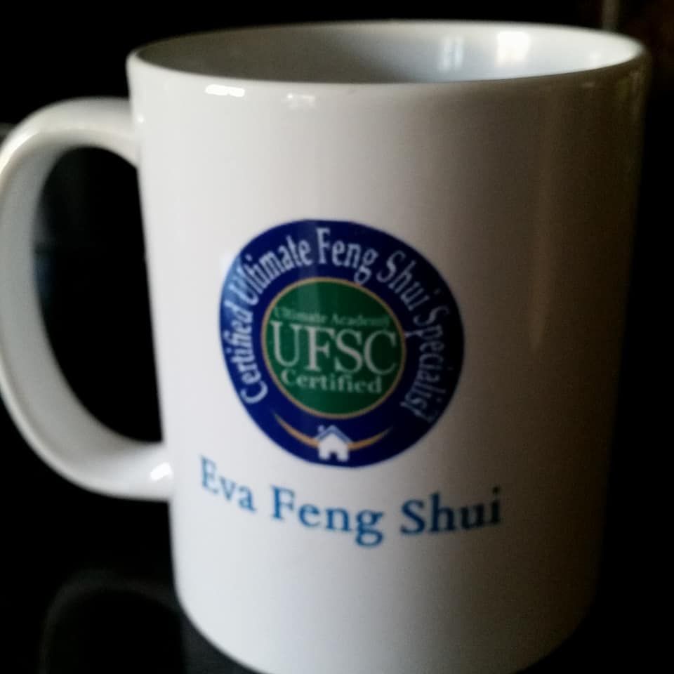 Eva Feng Shui - Cover photo