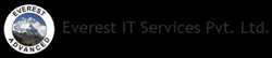 Everest It Services Pvt Ltd 259684 - Logo