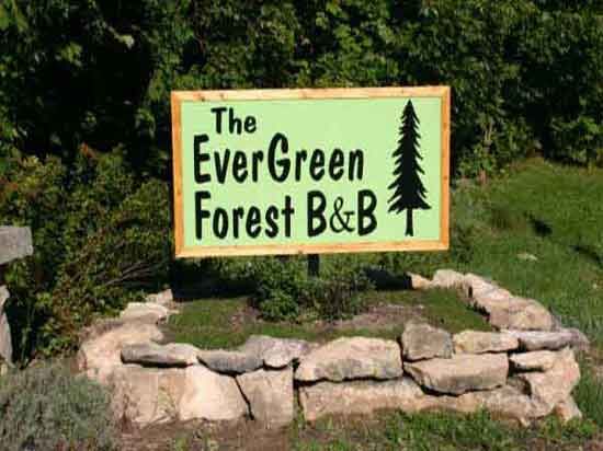 Evergreen Forest Resort - Cover photo