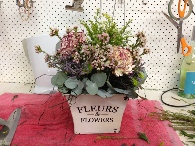 Every Blooming Thing - Cover photo