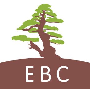 Evolution Business Consulting - Logo