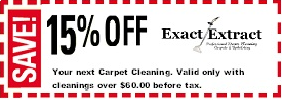 Exact Extract Professional Steam Cleaning - Logo