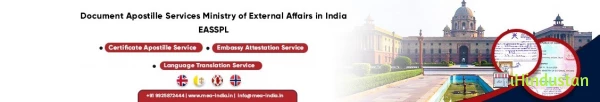 EXCELLENT APOSTILLE SERVICES - Logo