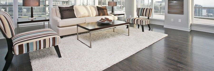 Executive Furniture Rentals - Logo