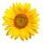 Existential Healing - Cover photo