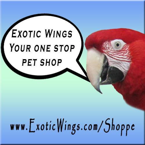 Exotic Wings &a; Pet Things - Logo