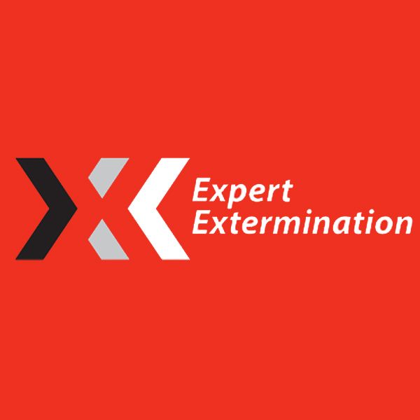 Expert Extermination - Logo