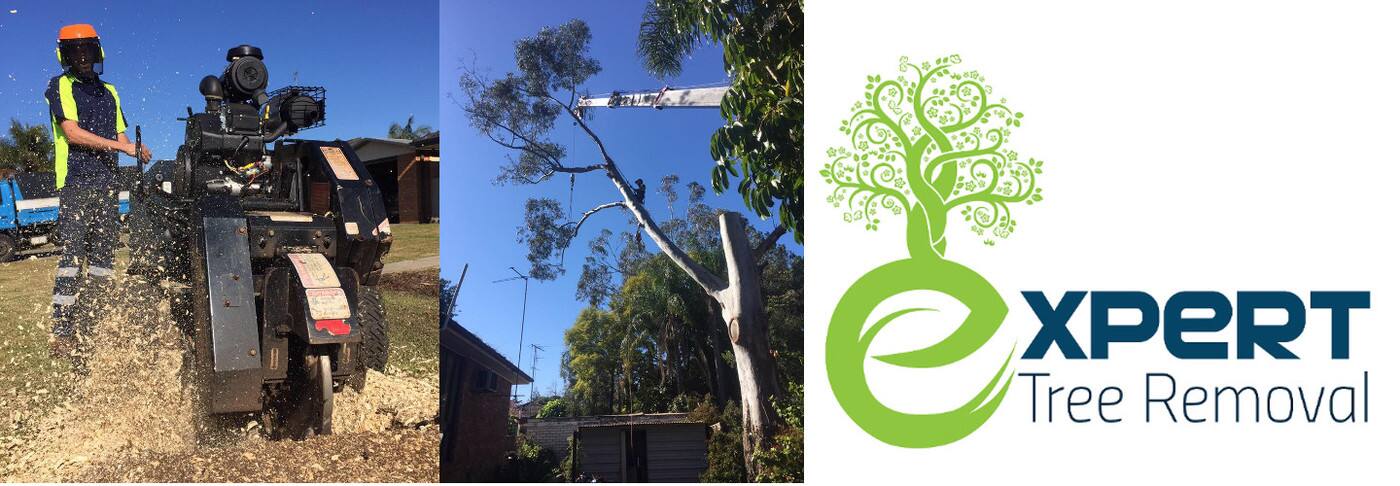 Expert Tree Removal - Logo