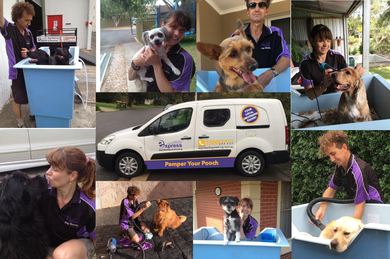 Express Dog Washing and Grooming: Tea Tree Gully - Cover photo