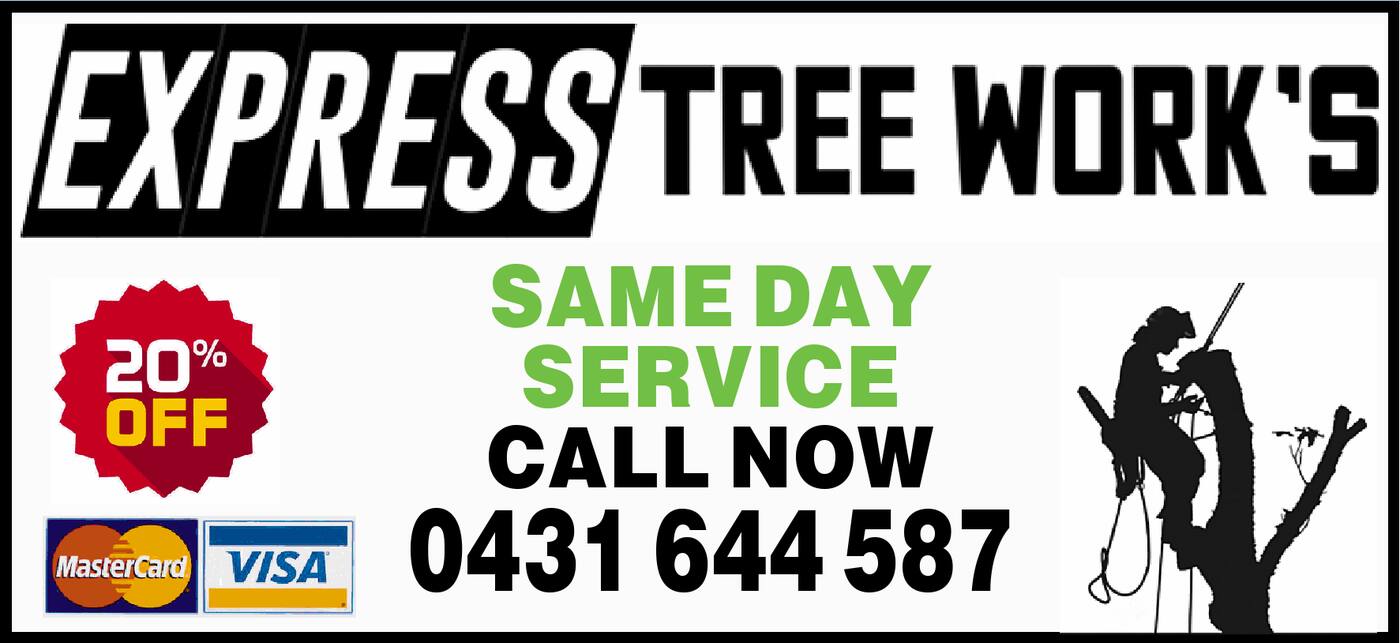 Express Tree Works - Cover photo