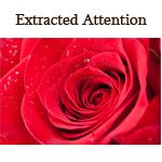 Extracted Attention - Logo
