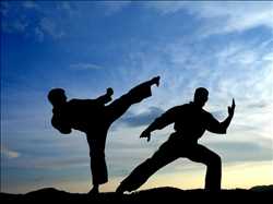 Extreme Martial Arts 444752 - Logo