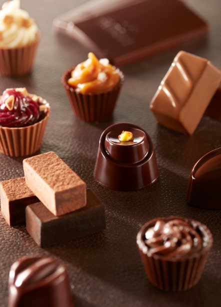 Fabelle Chocolates - ITC Gardenia - Logo
