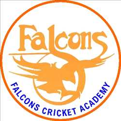 Falcons Cricket Academy 434010 - Logo