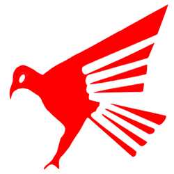 Falcon Tours Travels 132256 - Logo