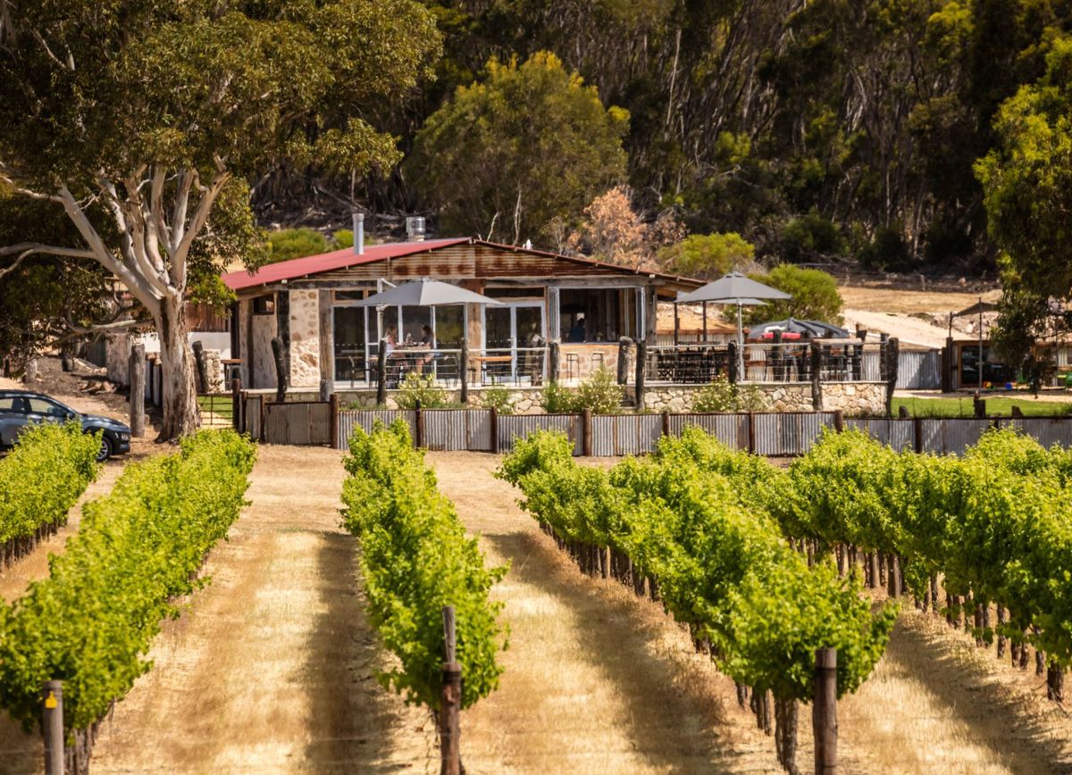 False Cape Wines - Logo