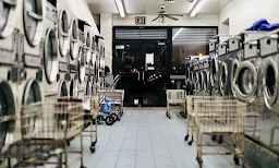 Famous Fashions Dry Cleaners - Logo