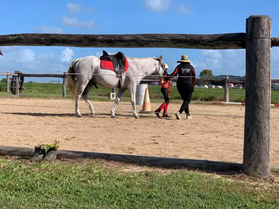Farleigh Saddle Club - Cover photo