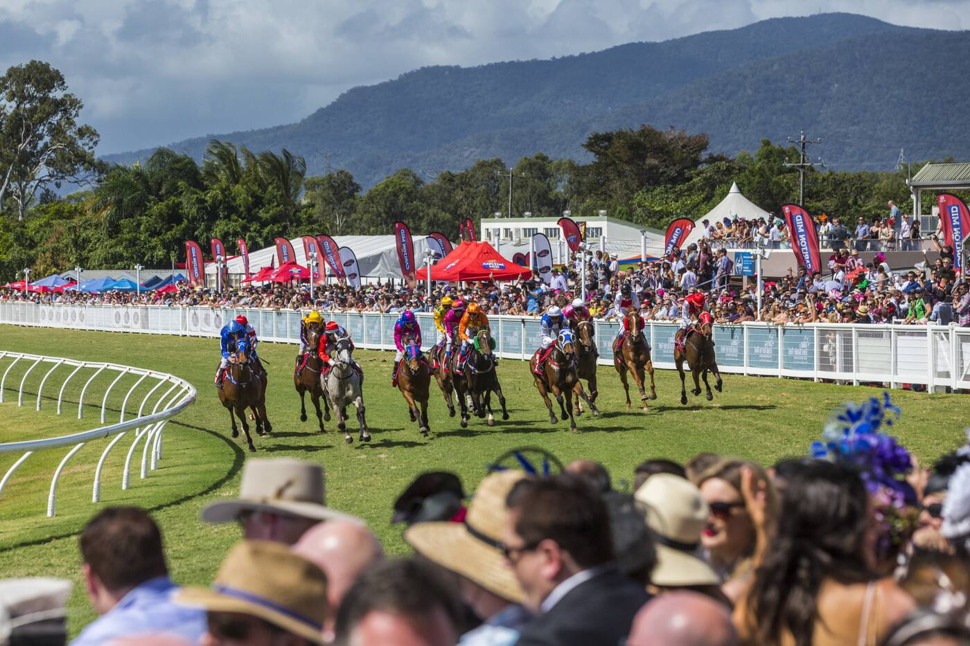 Far North Qld Amateur Turf Club - Cover photo