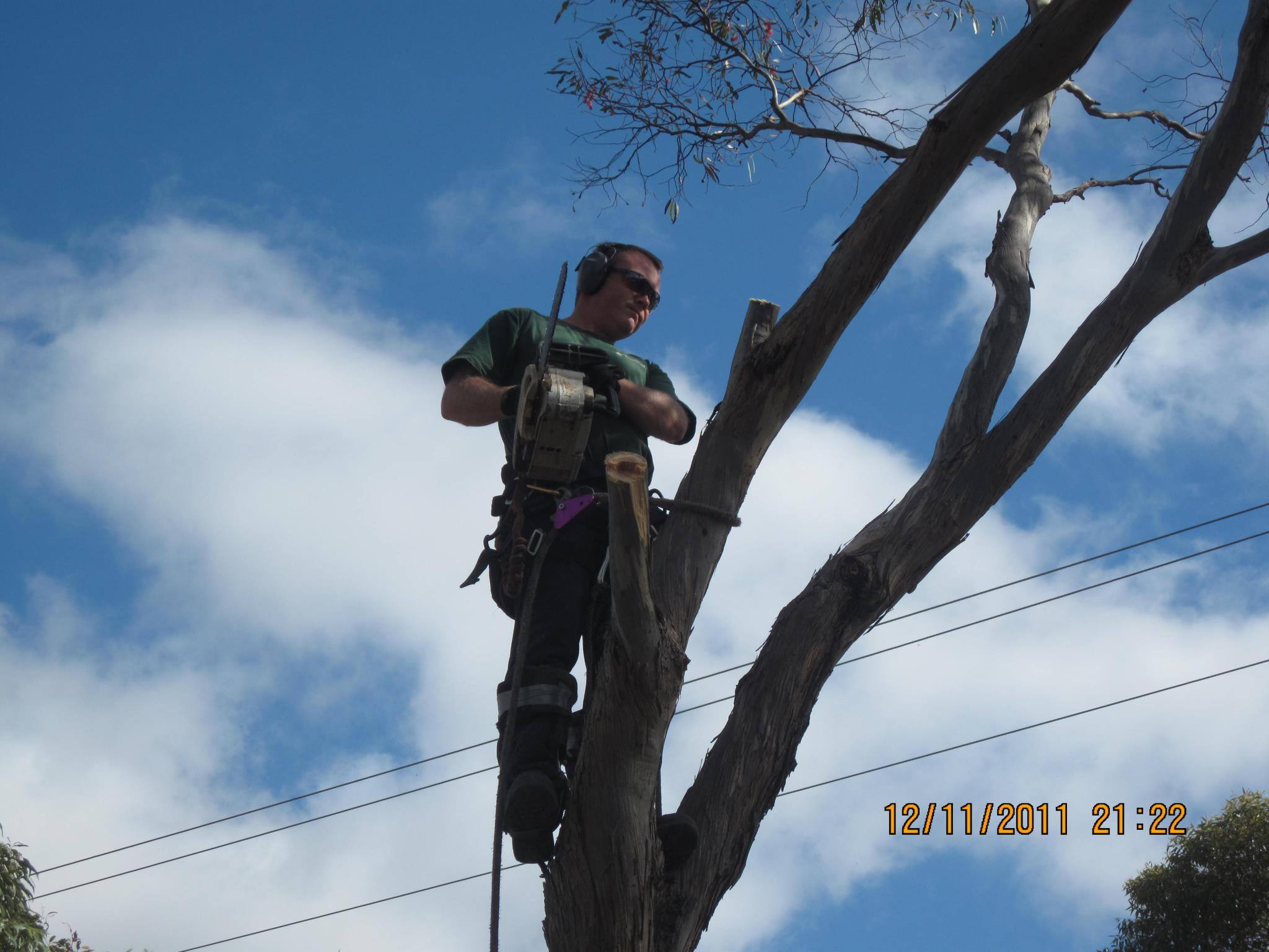 Fastcut Tree & Stump Removal - Cover photo