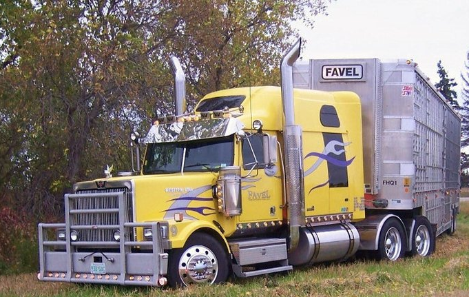 Favel Transportation - Logo