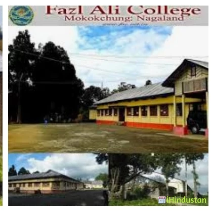 Fazl Ali College - Logo