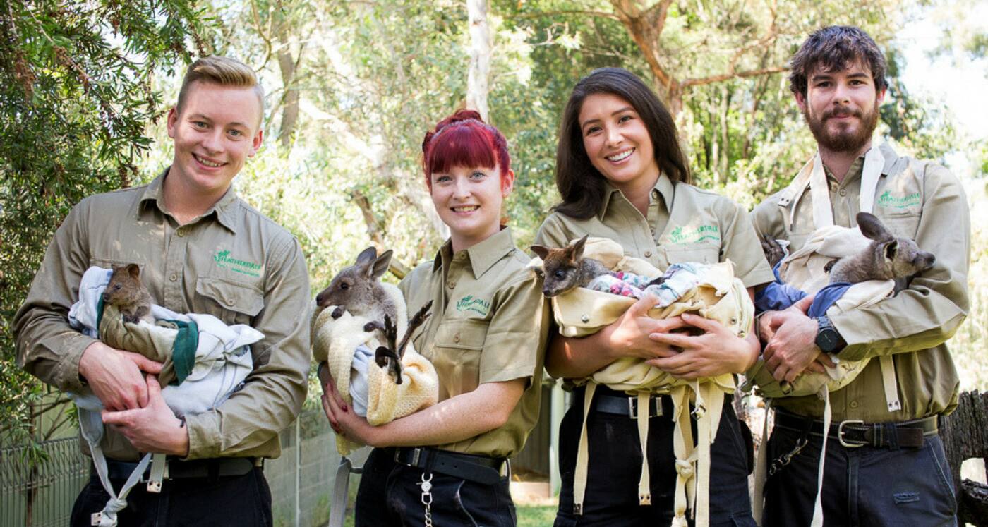 Featherdale Wildlife Park - Cover photo