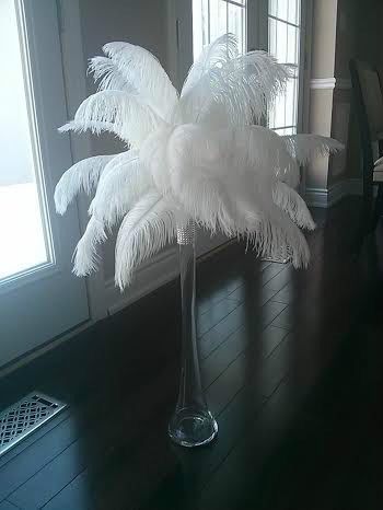 Featherology - Logo