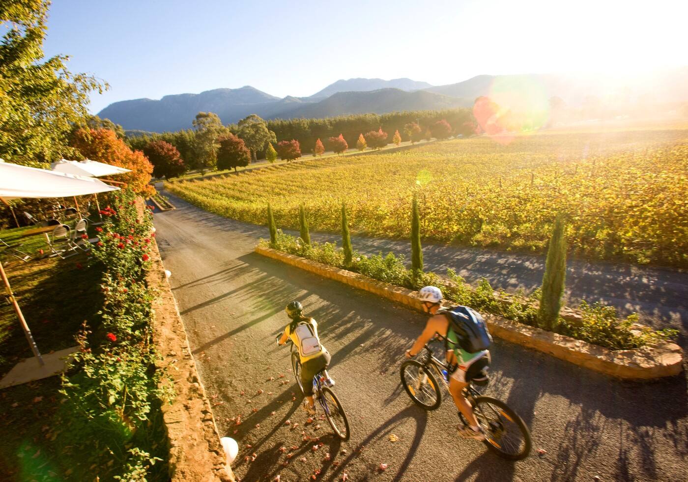 Feathertop Winery - Cover photo