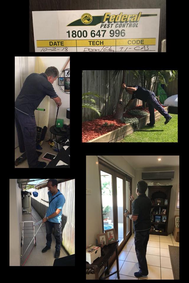 Federal Pest Control - Cover photo