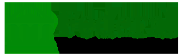 Federal Treasury Services - Logo