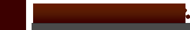 Fehmi Lights - Logo
