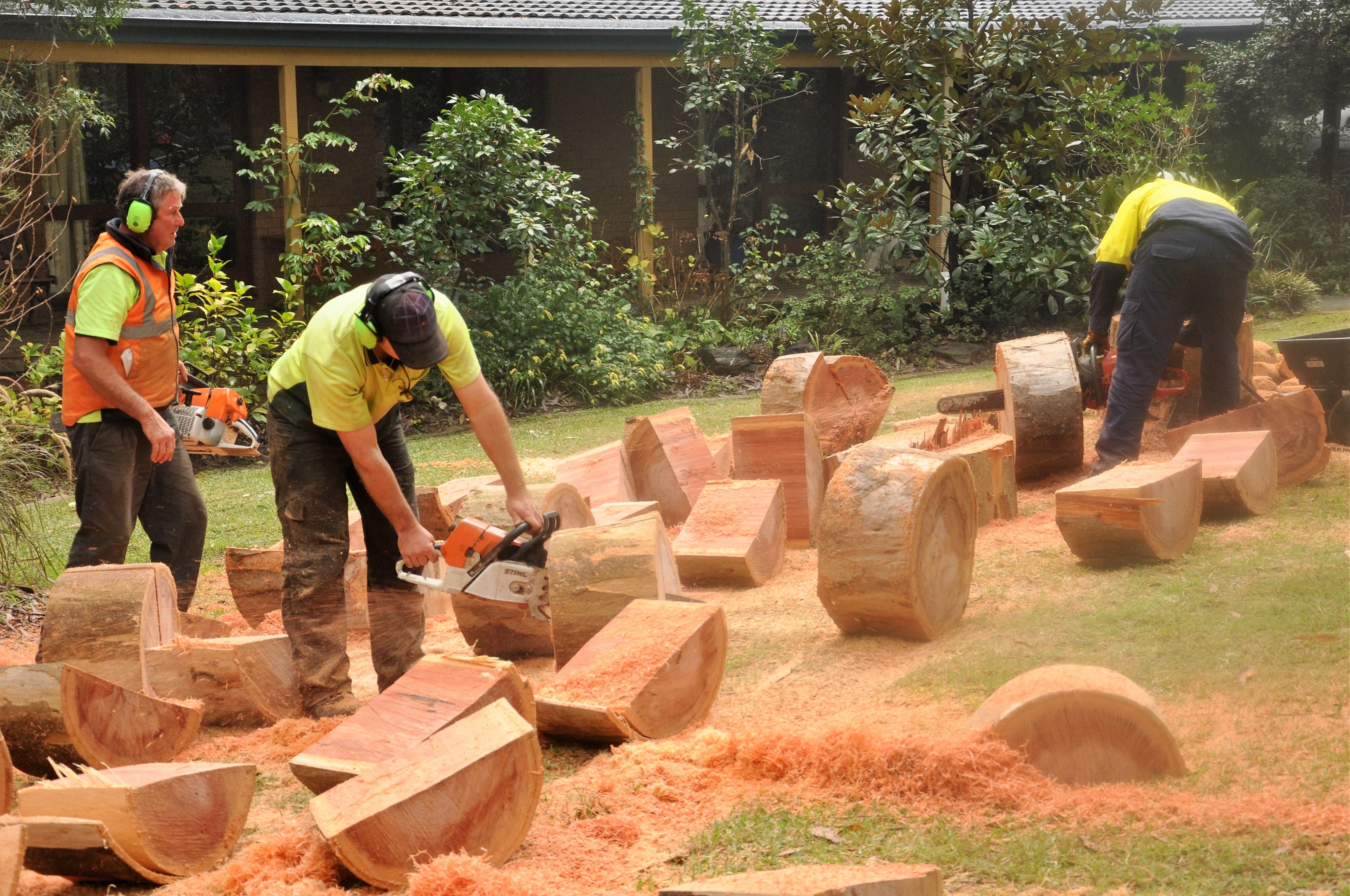 Fergies Tree Works - Cover photo