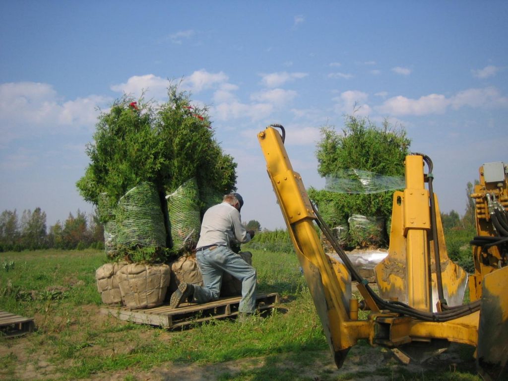 Ferme Arboricole L&s;Assomption - Cover photo