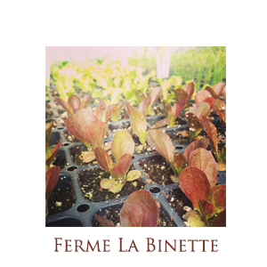 Ferme La Binette - Logo