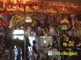 Ferns N Petals - Logo