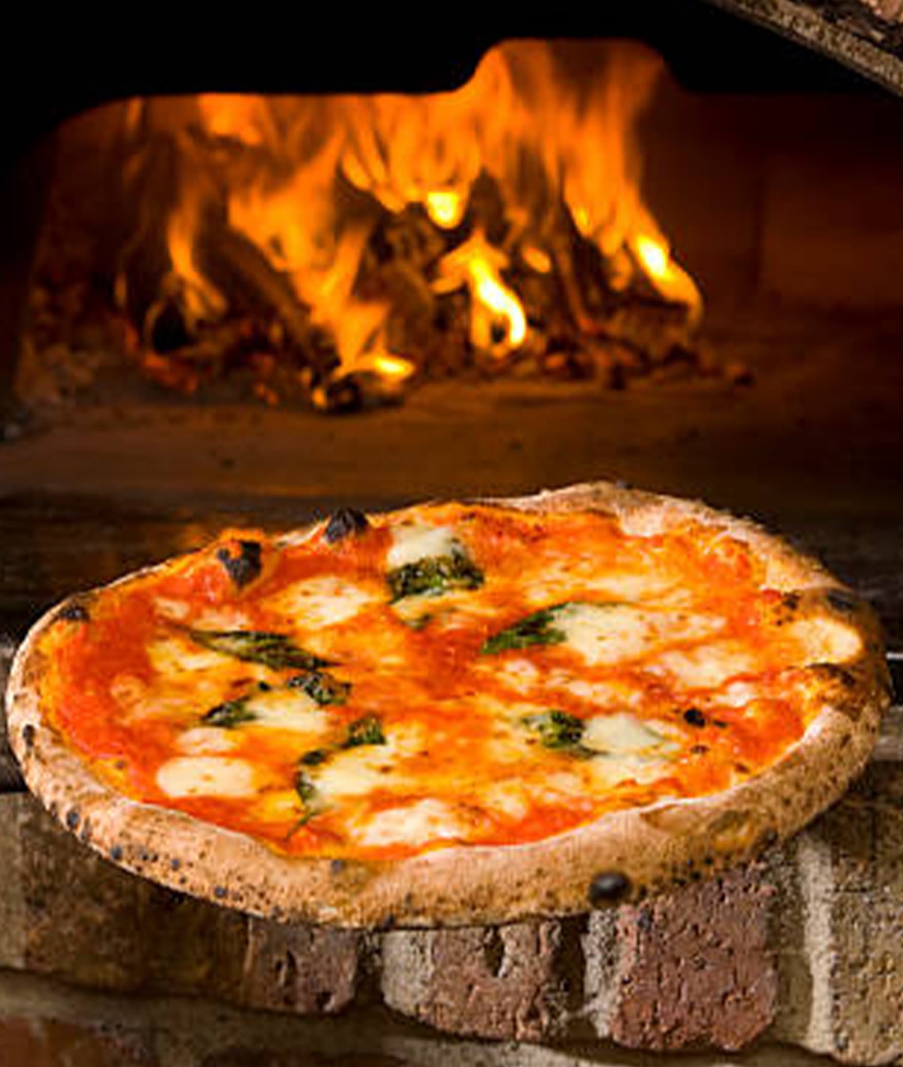 Fern's pizzeria cafe and kitchen - Logo
