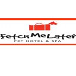 Fetch Me Later - Logo