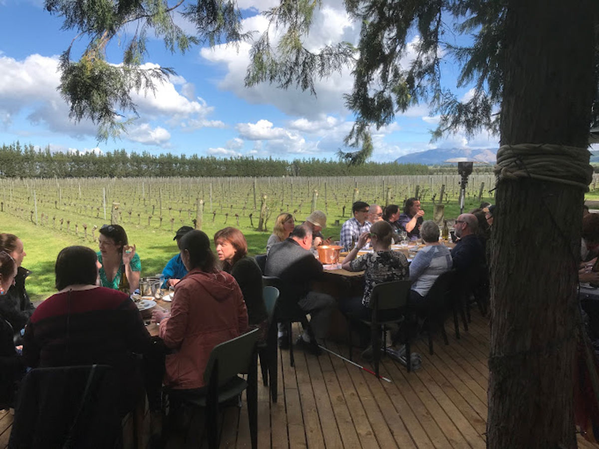 Fiddlers Green Vineyard & Bistro - Logo