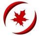 First Choice International Placement - Logo