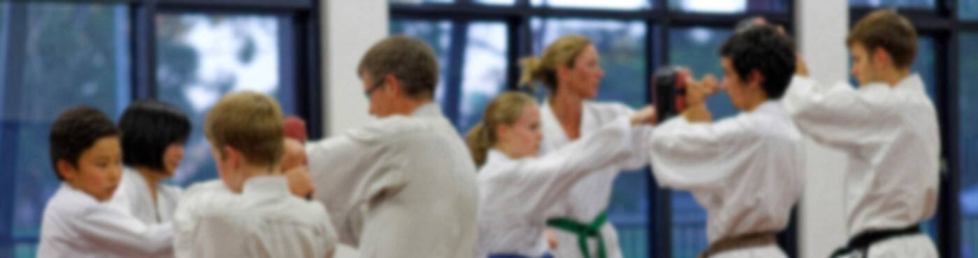 First Tae Kwon Do Nedlands - Logo