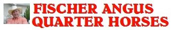 Fischer Angus &a; Quarter Horses - Logo